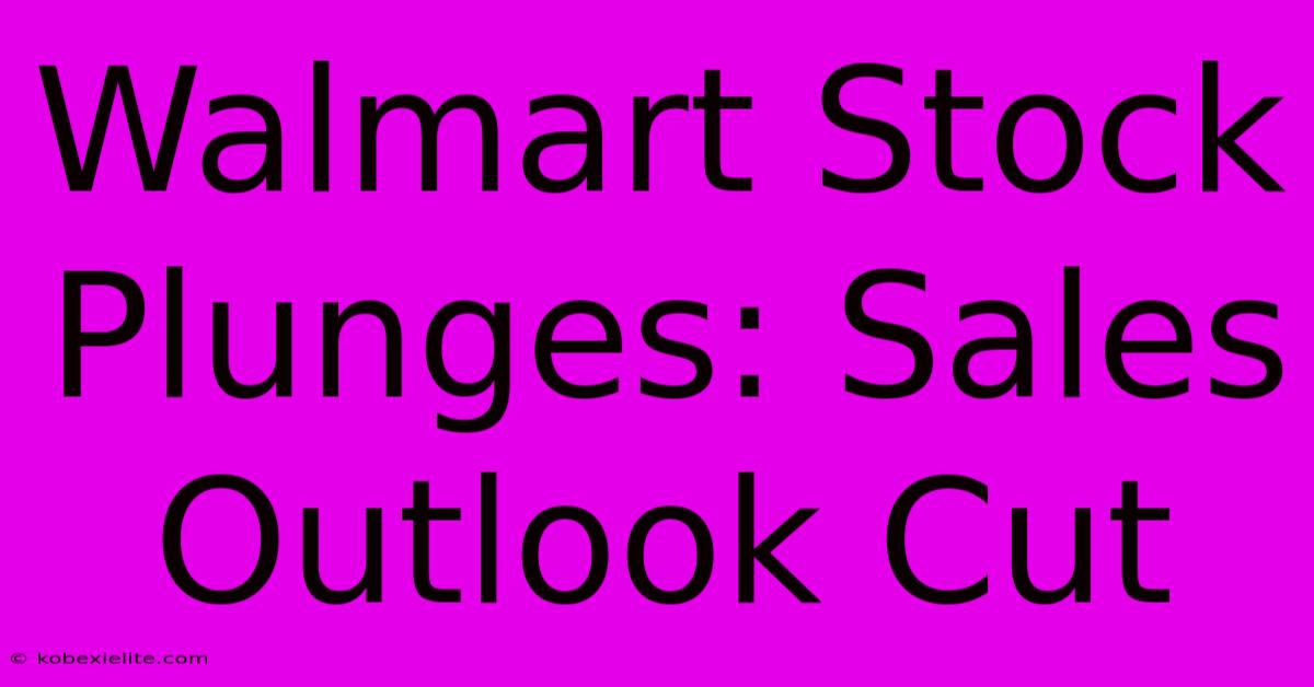 Walmart Stock Plunges: Sales Outlook Cut