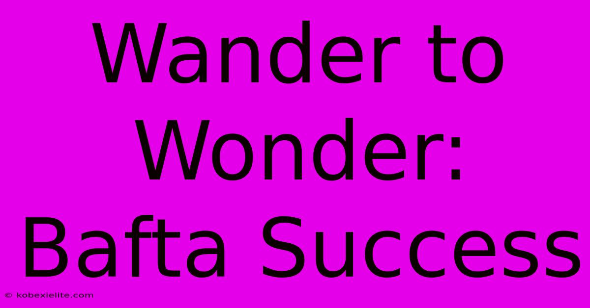 Wander To Wonder: Bafta Success