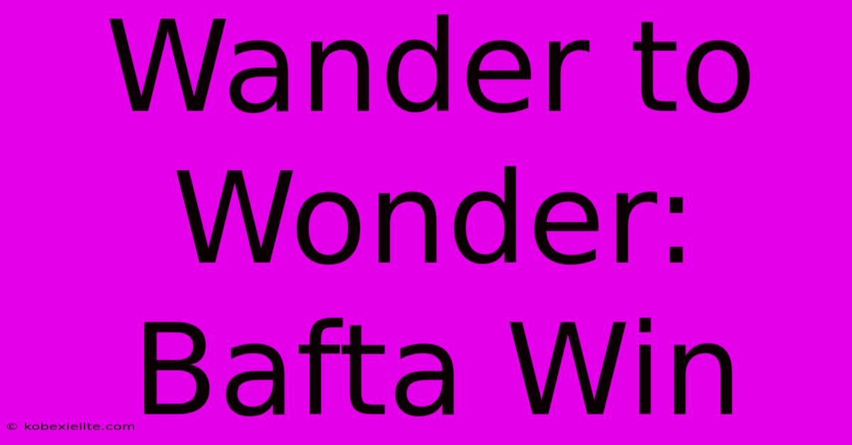 Wander To Wonder: Bafta Win