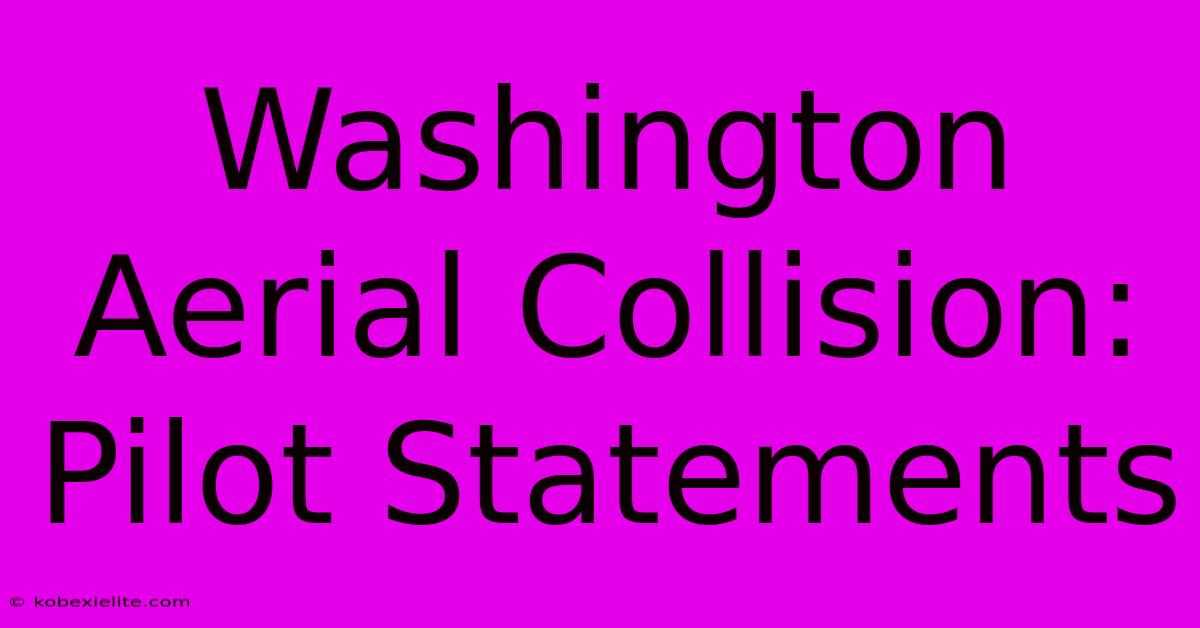 Washington Aerial Collision: Pilot Statements