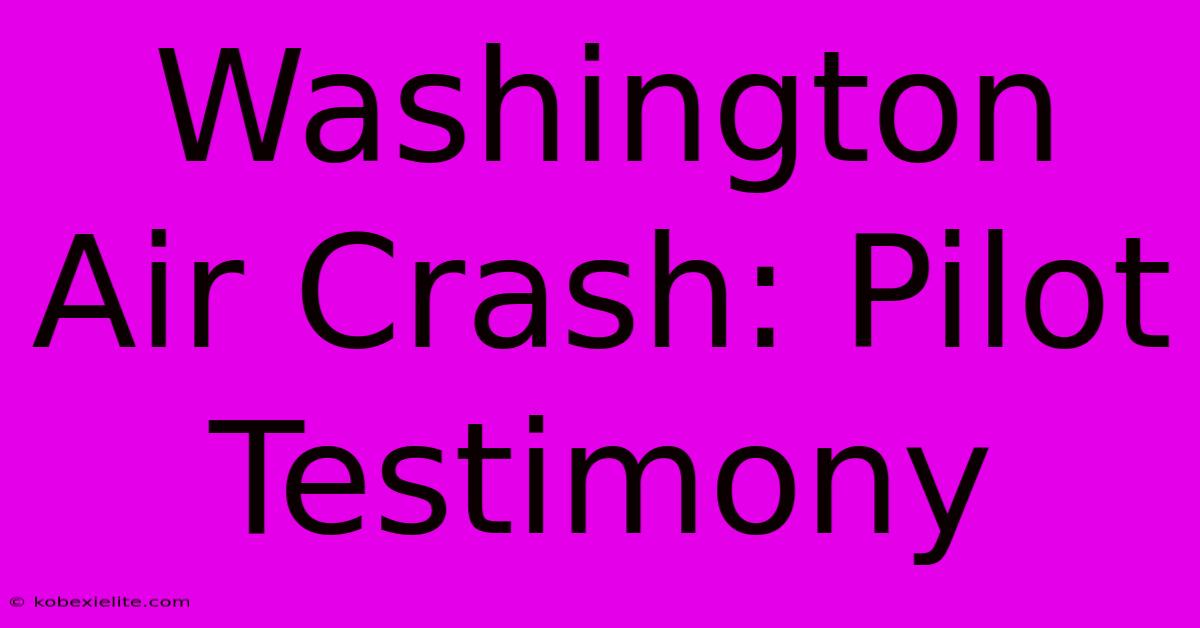 Washington Air Crash: Pilot Testimony