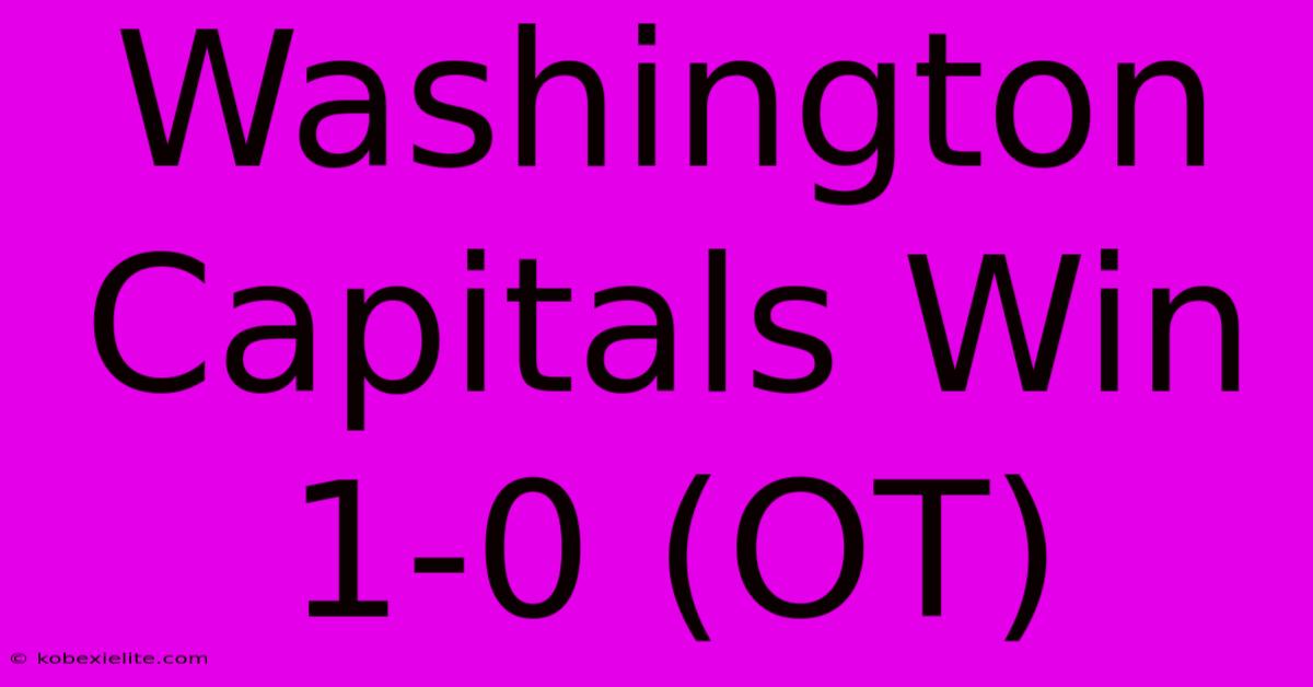 Washington Capitals Win 1-0 (OT)