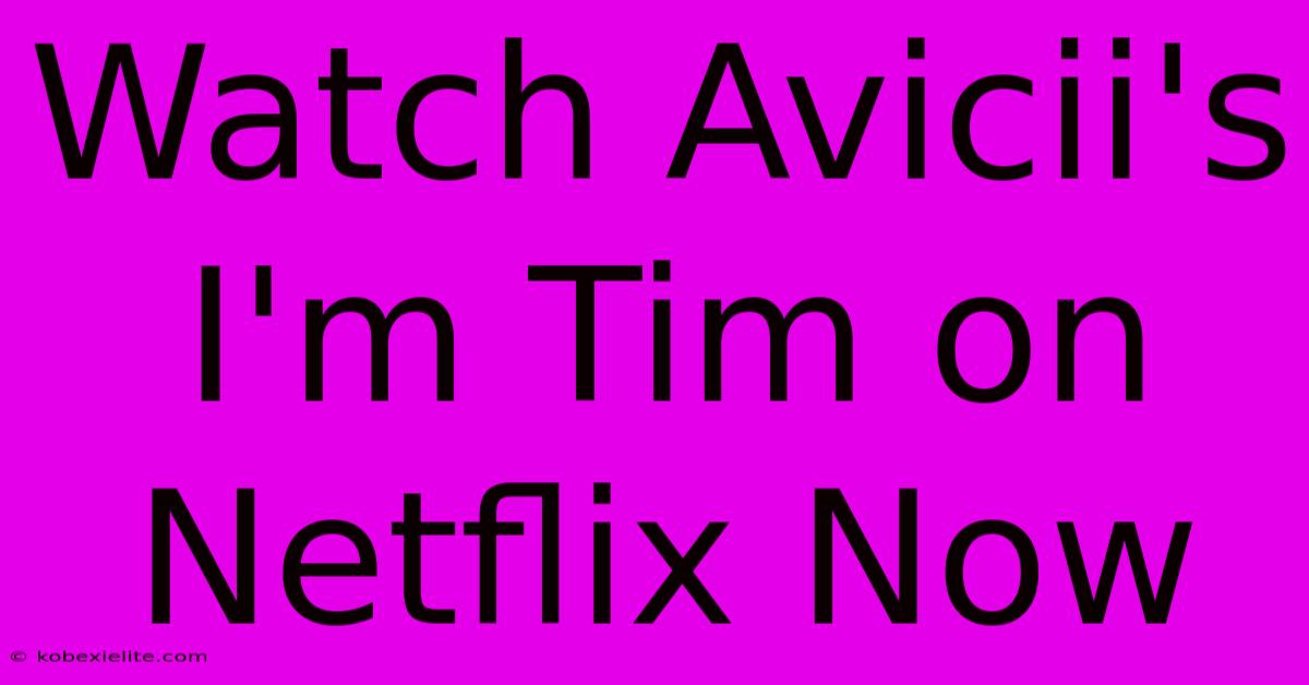 Watch Avicii's I'm Tim On Netflix Now