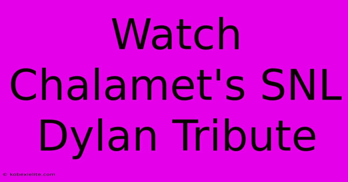 Watch Chalamet's SNL Dylan Tribute