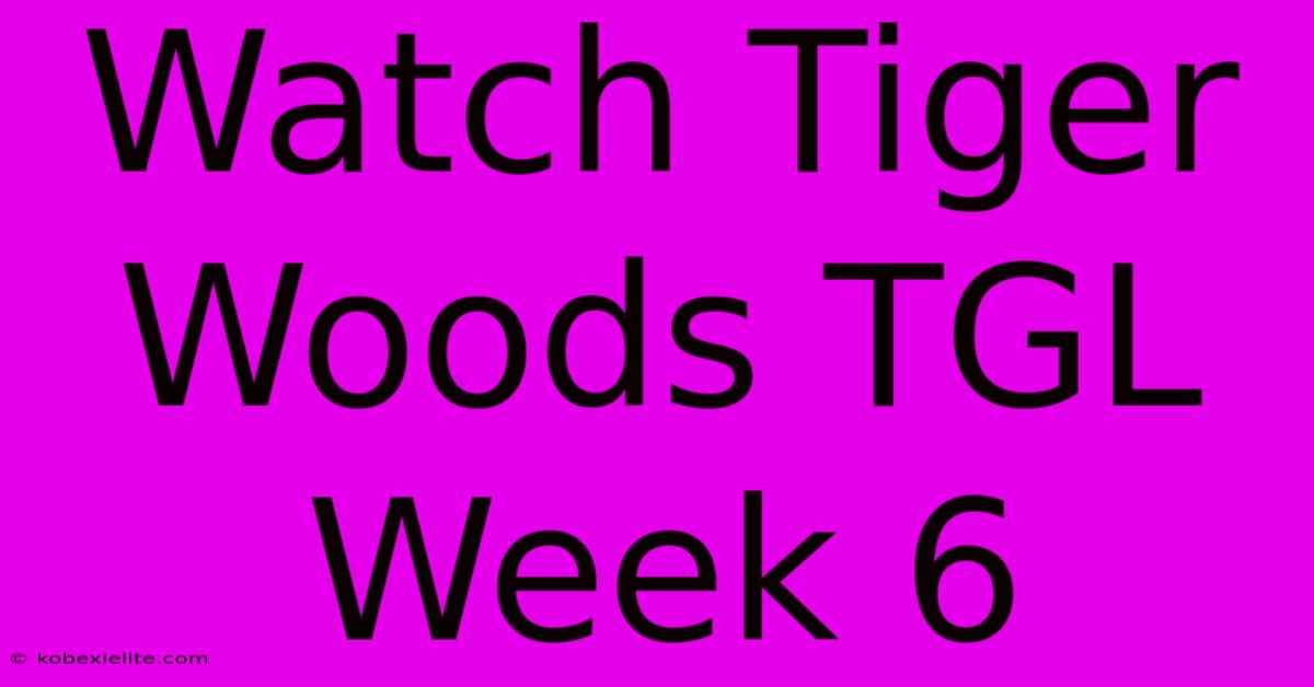 Watch Tiger Woods TGL Week 6