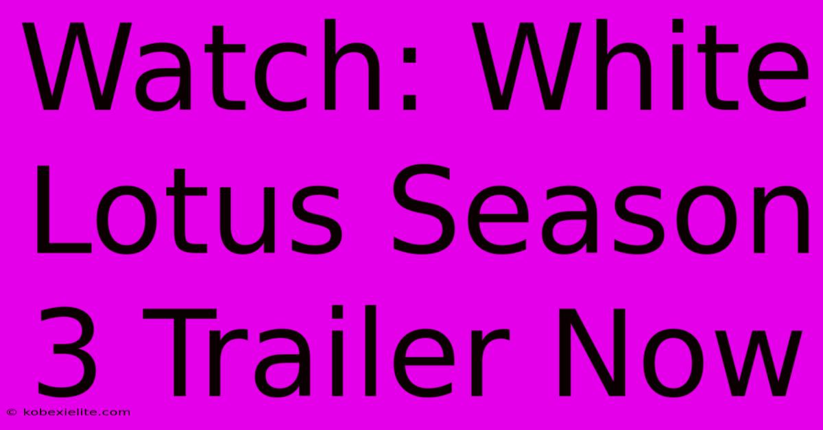 Watch: White Lotus Season 3 Trailer Now