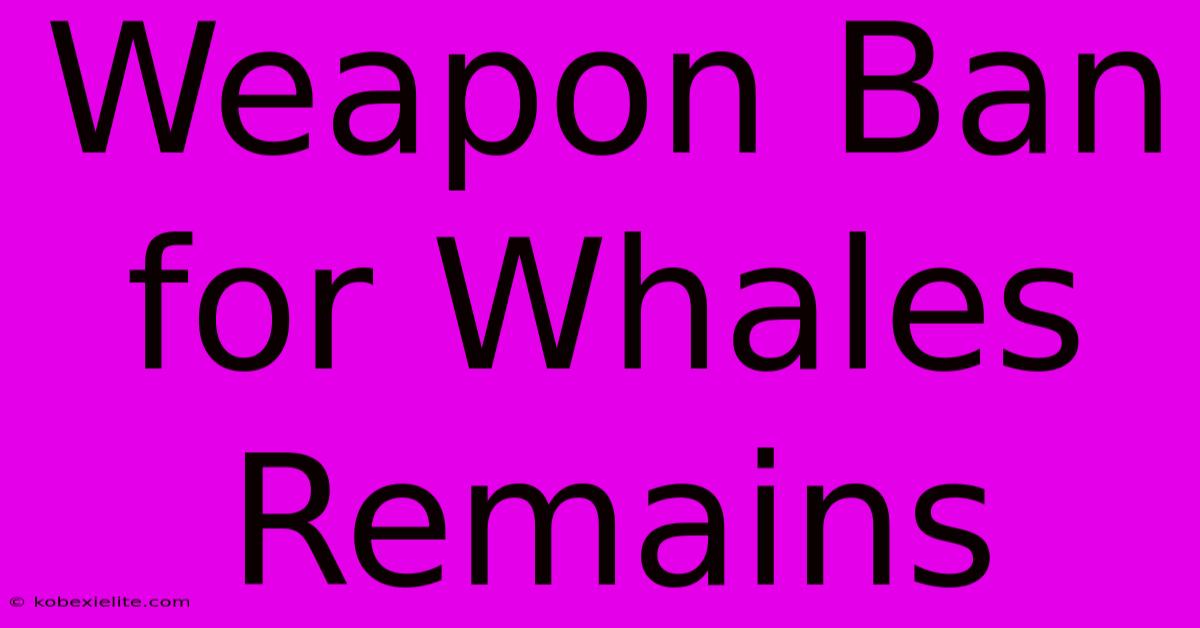 Weapon Ban For Whales Remains