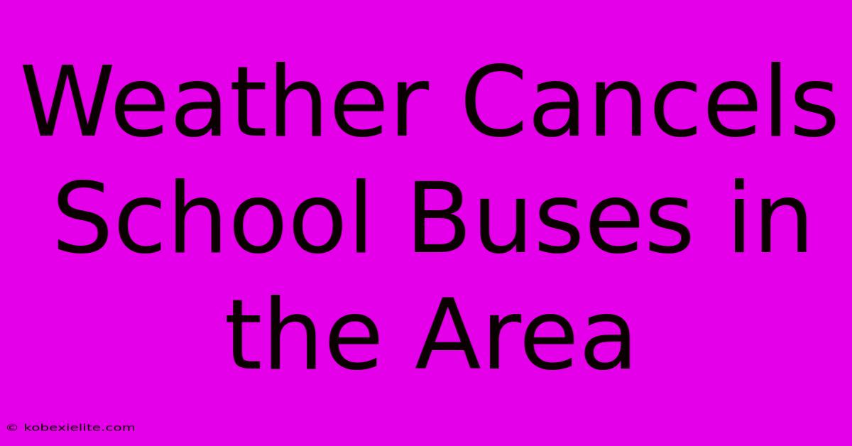 Weather Cancels School Buses In The Area