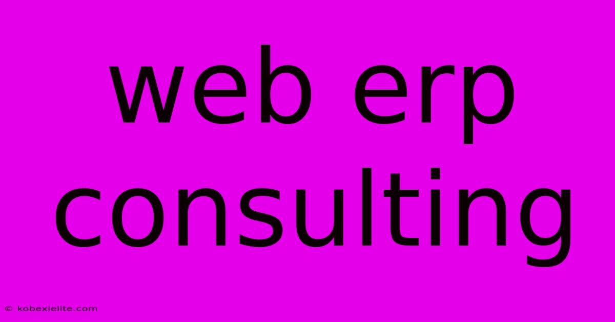 Web Erp Consulting