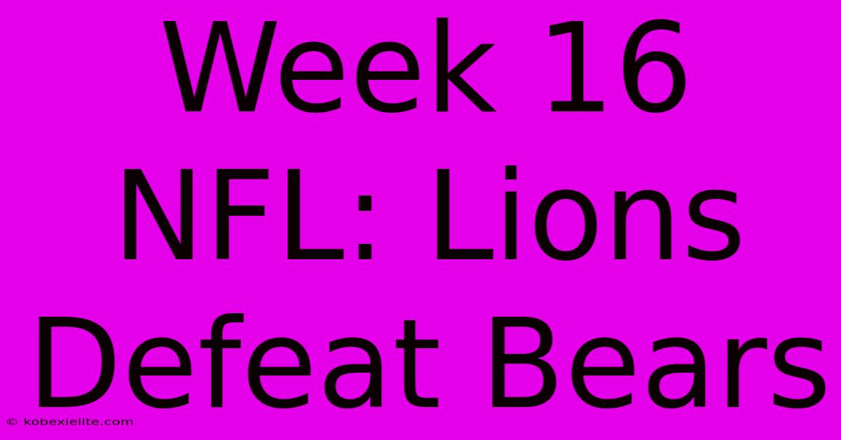 Week 16 NFL: Lions Defeat Bears