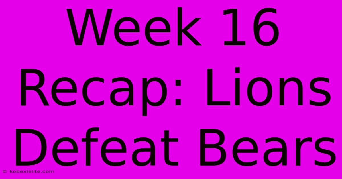 Week 16 Recap: Lions Defeat Bears