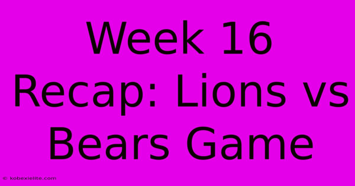 Week 16 Recap: Lions Vs Bears Game