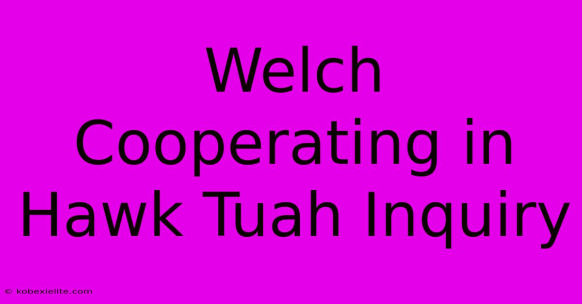 Welch Cooperating In Hawk Tuah Inquiry