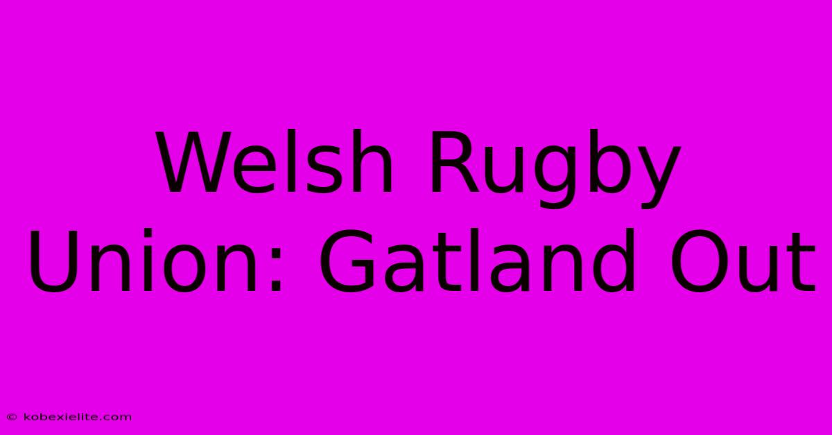 Welsh Rugby Union: Gatland Out