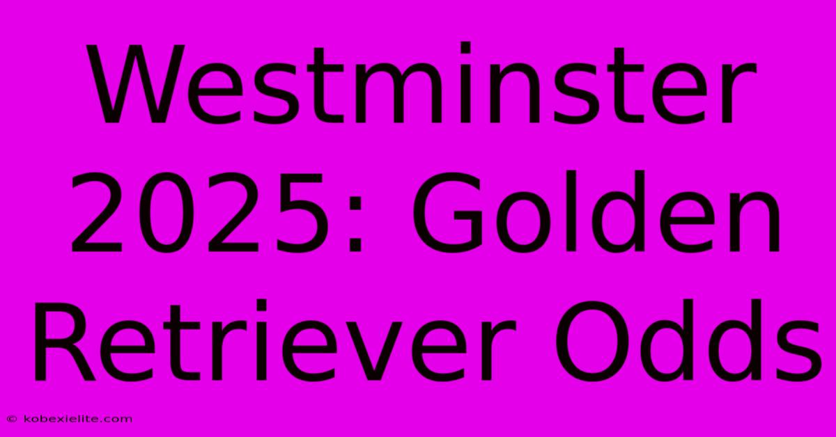 Westminster 2025: Golden Retriever Odds