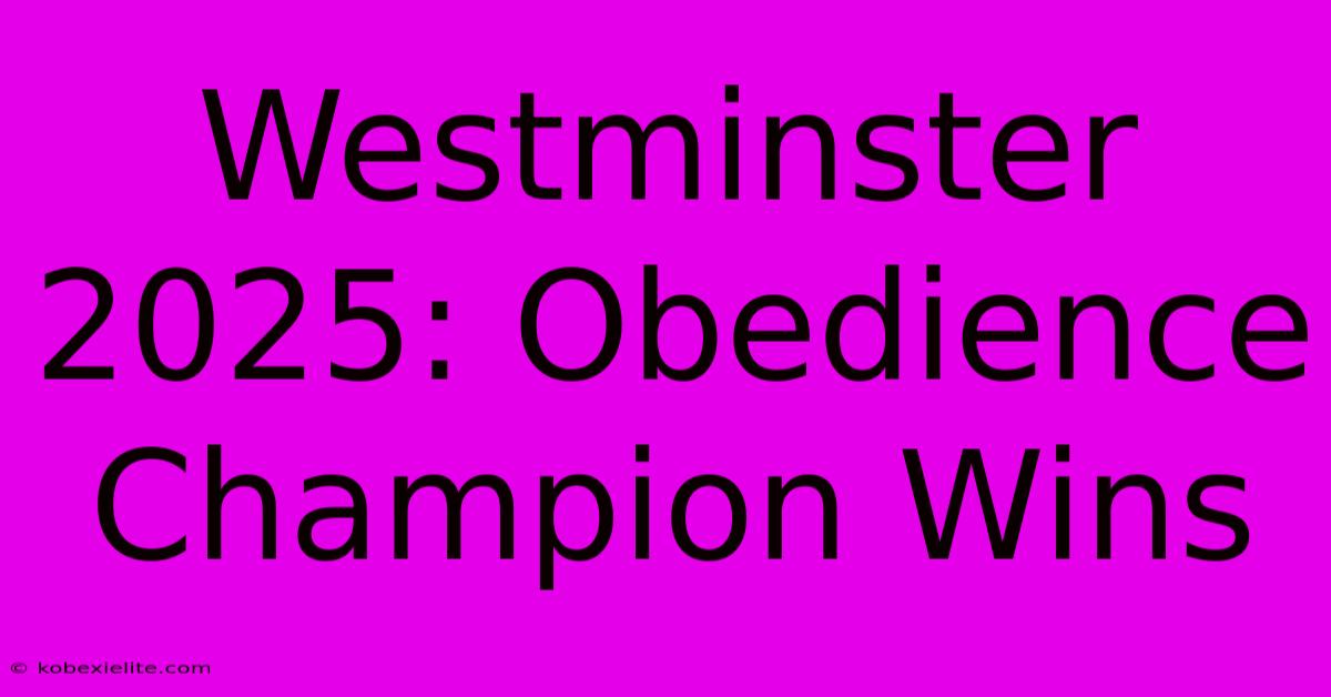 Westminster 2025: Obedience Champion Wins