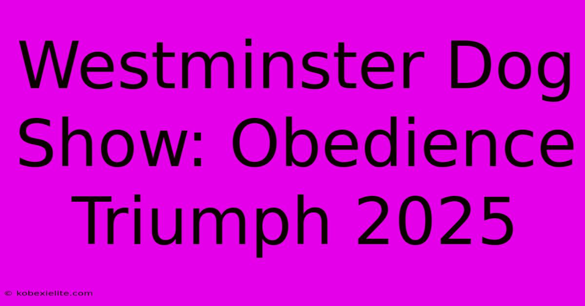 Westminster Dog Show: Obedience Triumph 2025