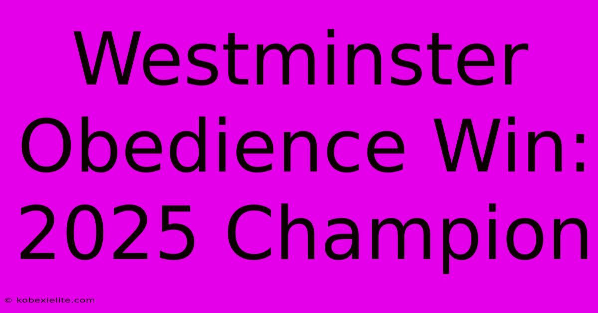 Westminster Obedience Win: 2025 Champion