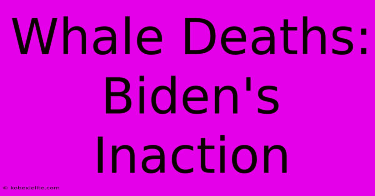 Whale Deaths: Biden's Inaction