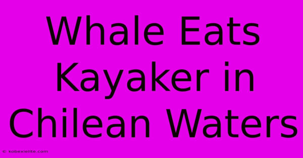 Whale Eats Kayaker In Chilean Waters