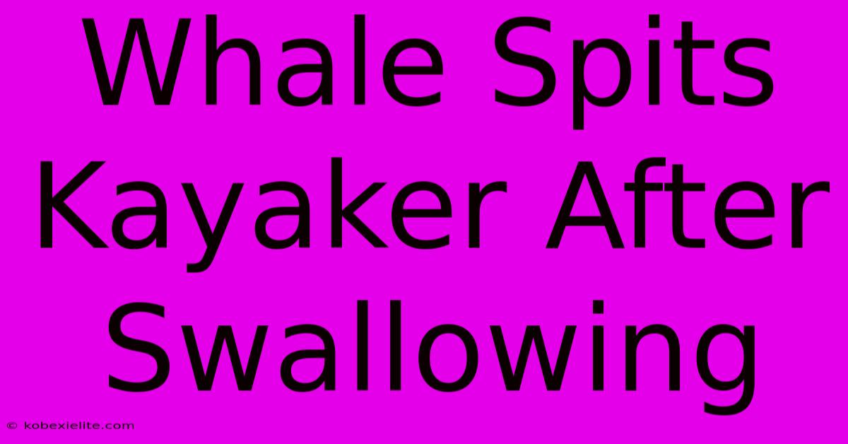 Whale Spits Kayaker After Swallowing