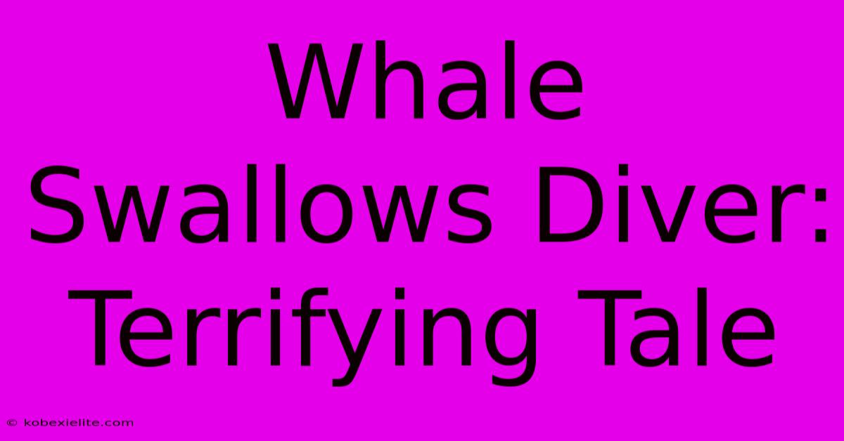 Whale Swallows Diver: Terrifying Tale