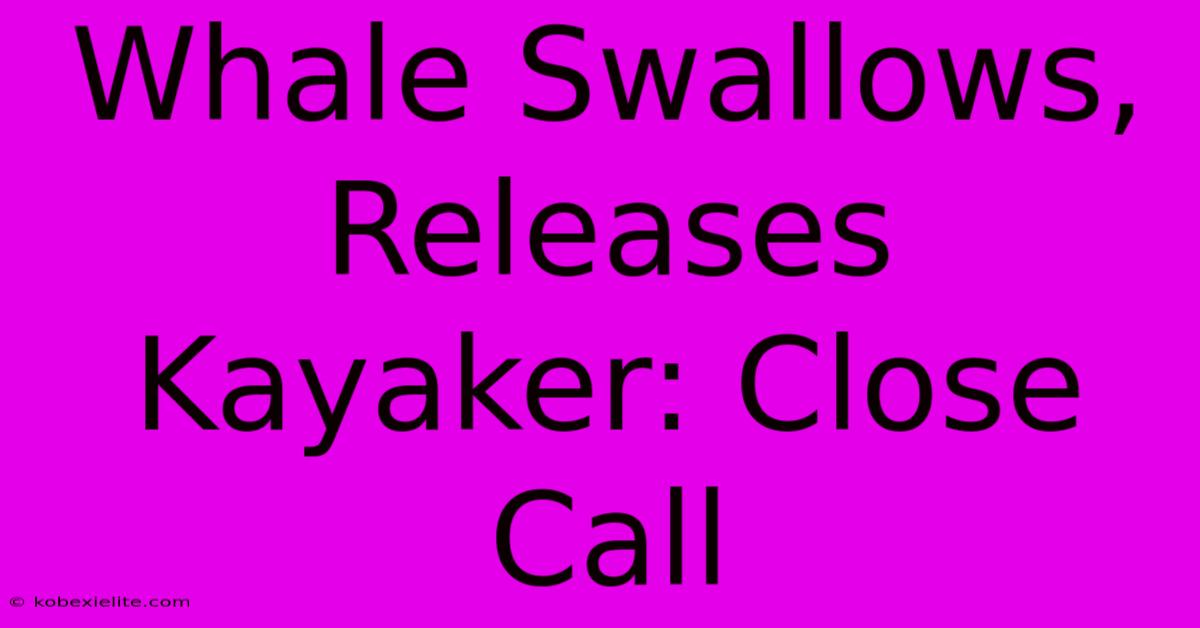 Whale Swallows, Releases Kayaker: Close Call