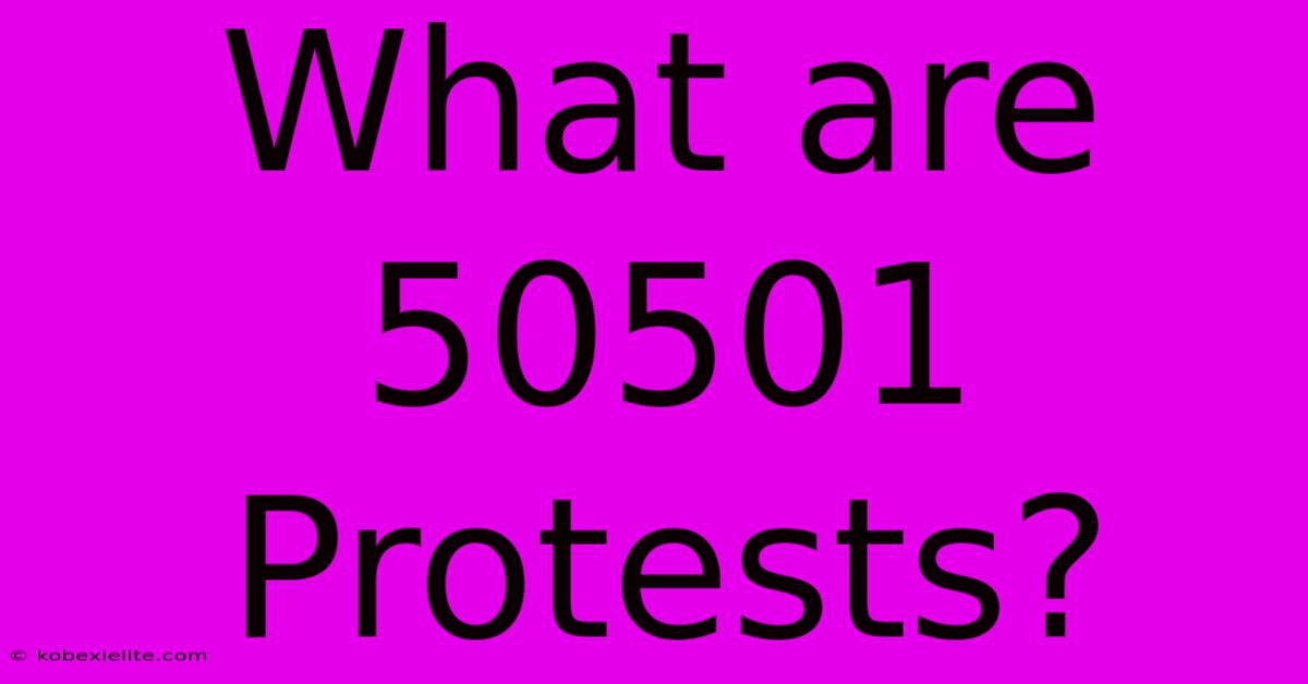 What Are 50501 Protests?