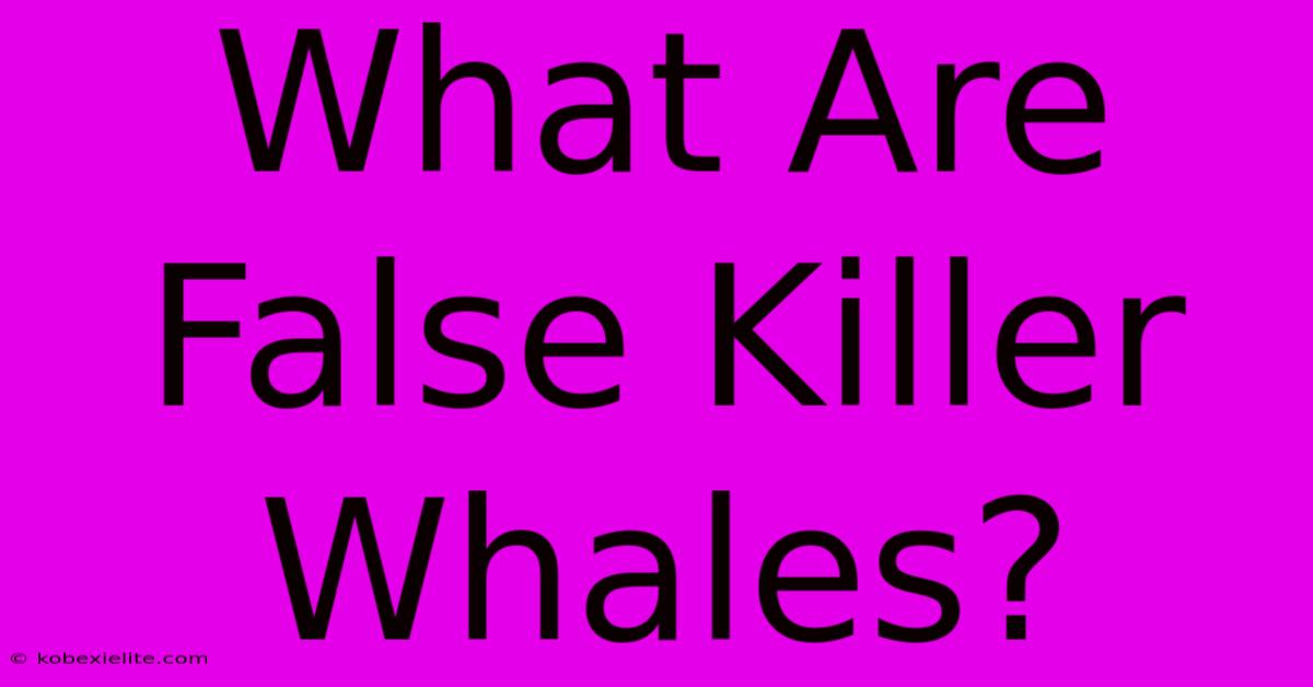 What Are False Killer Whales?