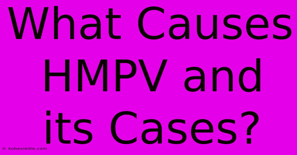 What Causes HMPV And Its Cases?