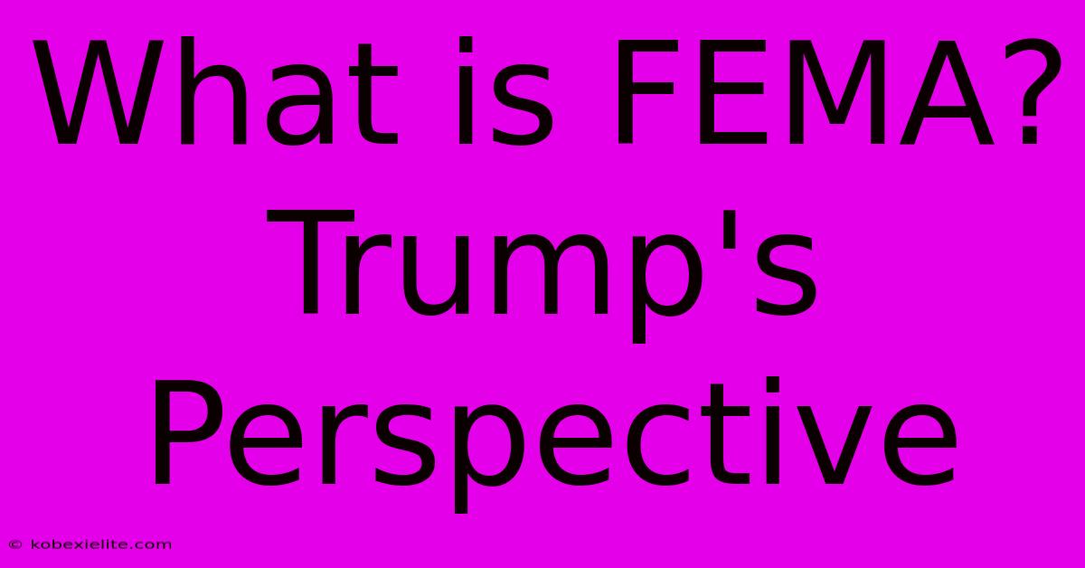 What Is FEMA? Trump's Perspective