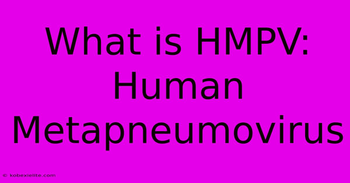 What Is HMPV: Human Metapneumovirus