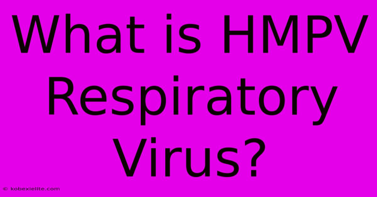 What Is HMPV Respiratory Virus?