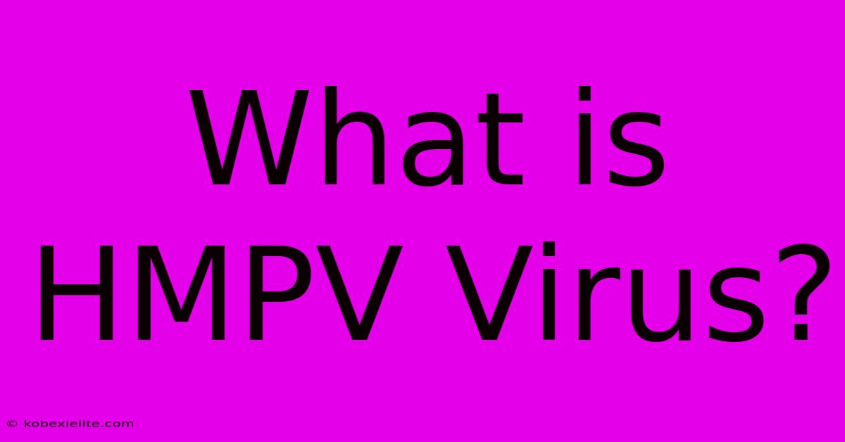 What Is HMPV Virus?