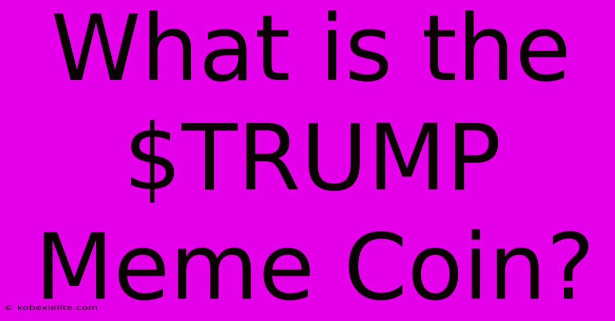 What Is The $TRUMP Meme Coin?