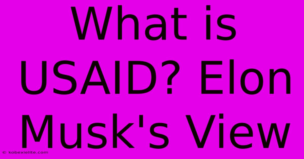 What Is USAID? Elon Musk's View