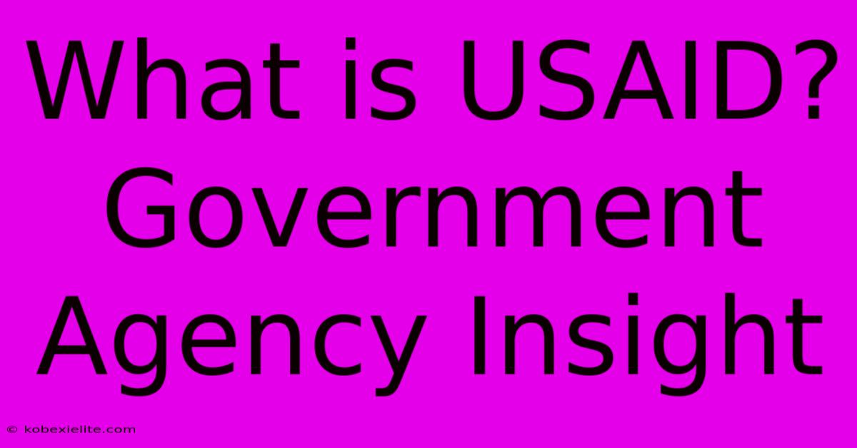 What Is USAID?  Government Agency Insight