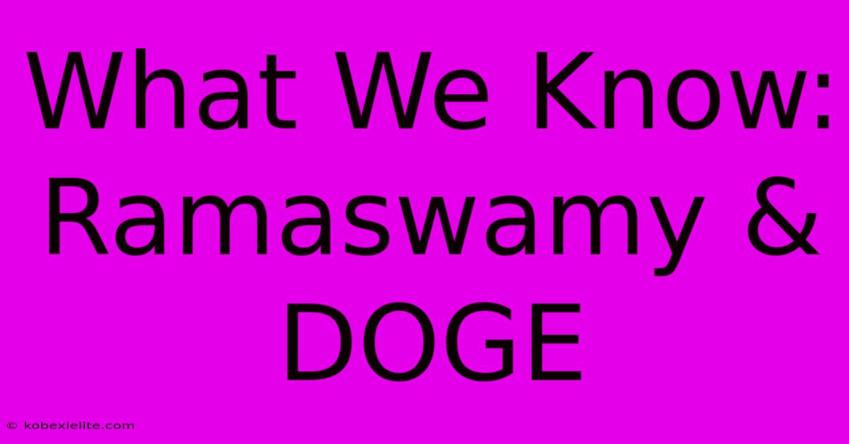 What We Know: Ramaswamy & DOGE