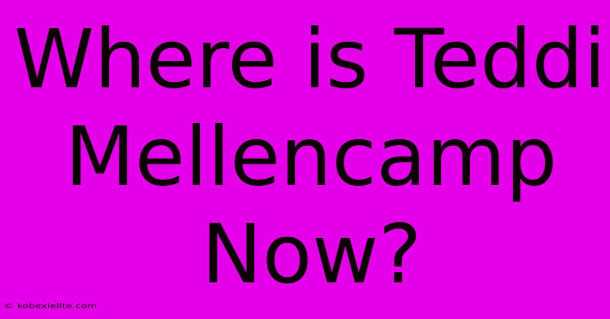 Where Is Teddi Mellencamp Now?