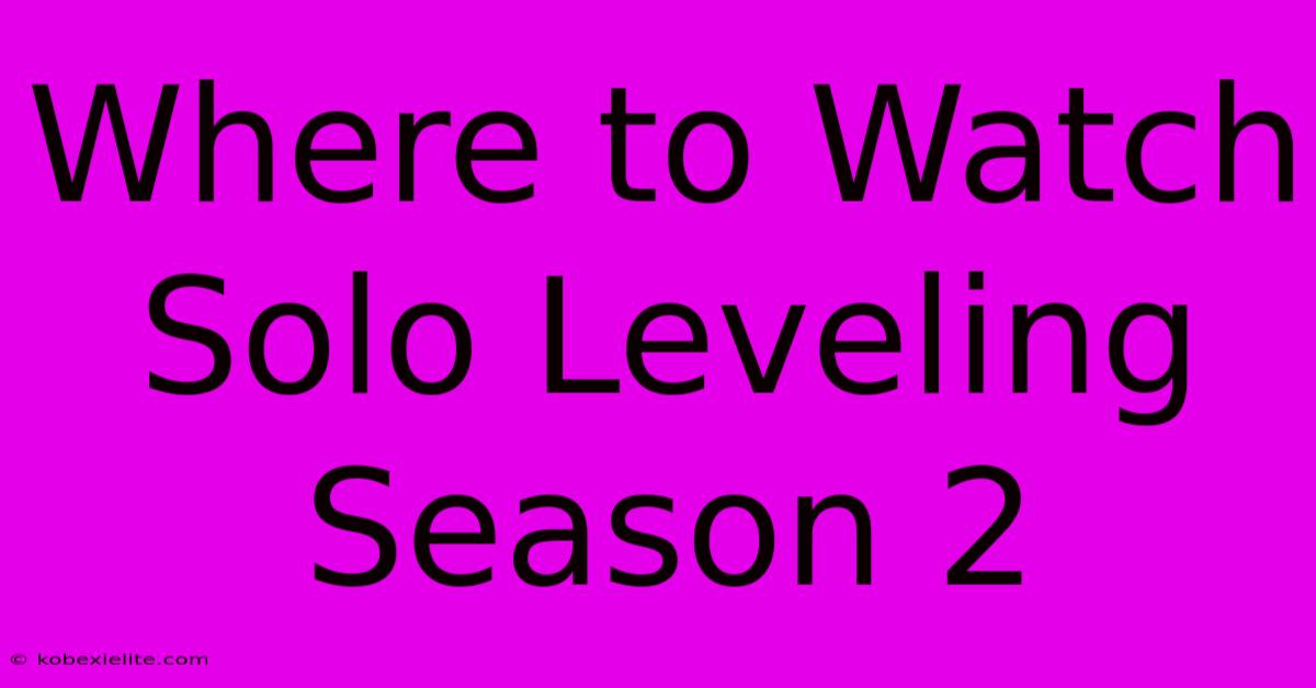 Where To Watch Solo Leveling Season 2