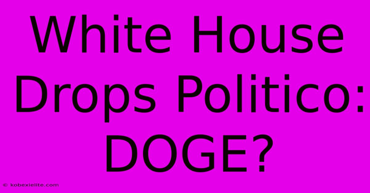 White House Drops Politico: DOGE?