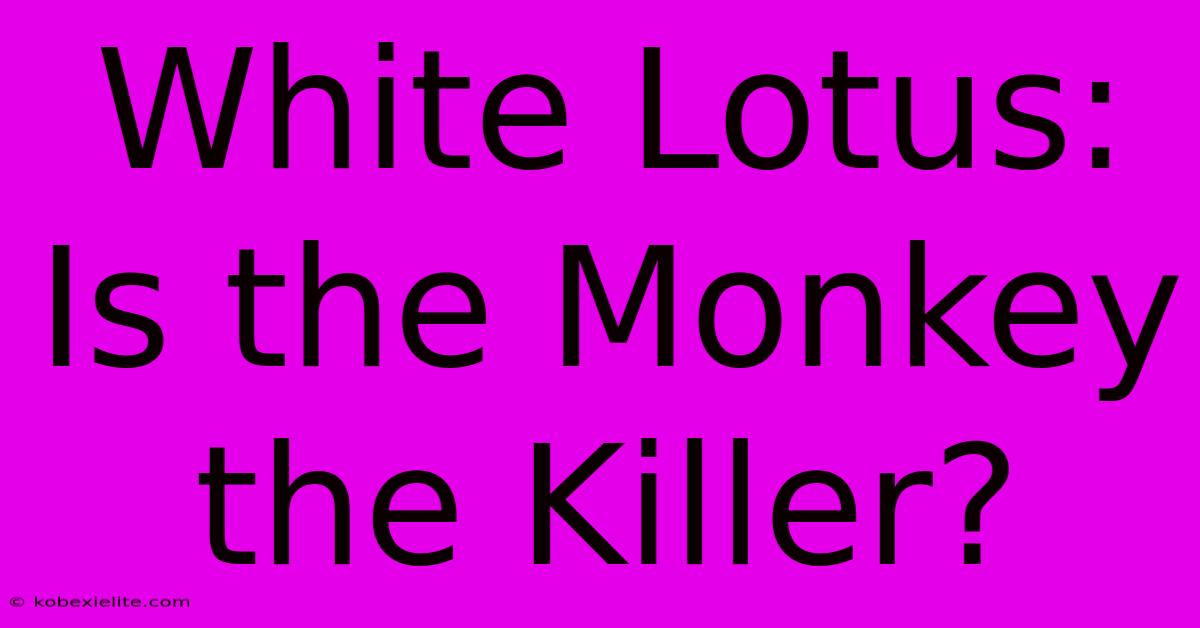 White Lotus: Is The Monkey The Killer?