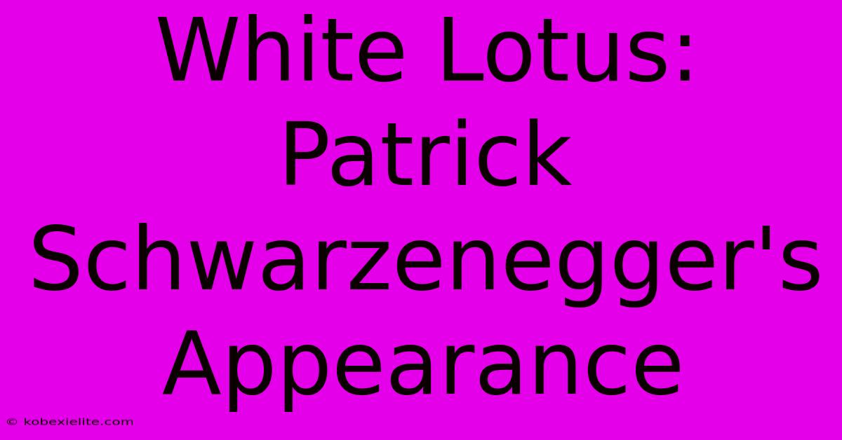 White Lotus: Patrick Schwarzenegger's Appearance White Lotus: Patrick Schwarzenegger's Appearance