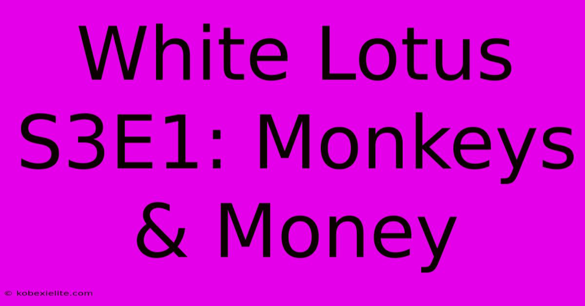 White Lotus S3E1: Monkeys & Money