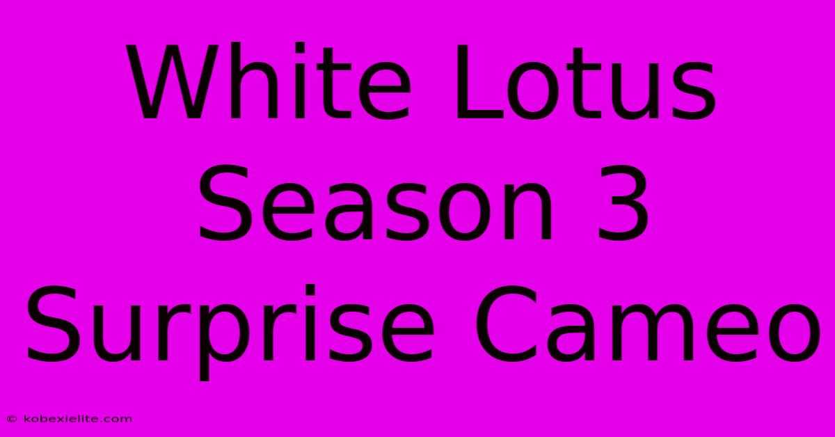 White Lotus Season 3 Surprise Cameo