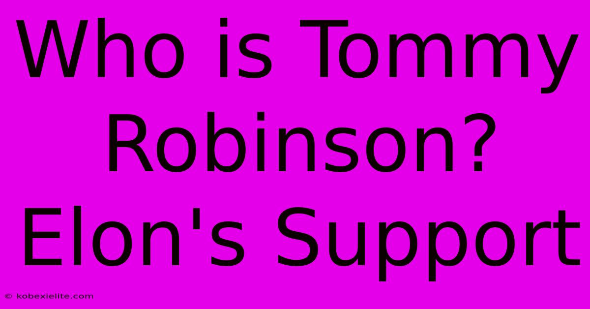 Who Is Tommy Robinson? Elon's Support