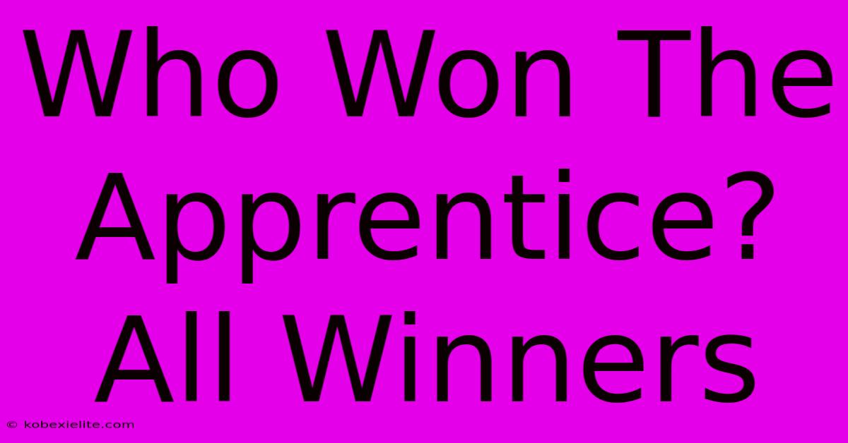 Who Won The Apprentice? All Winners