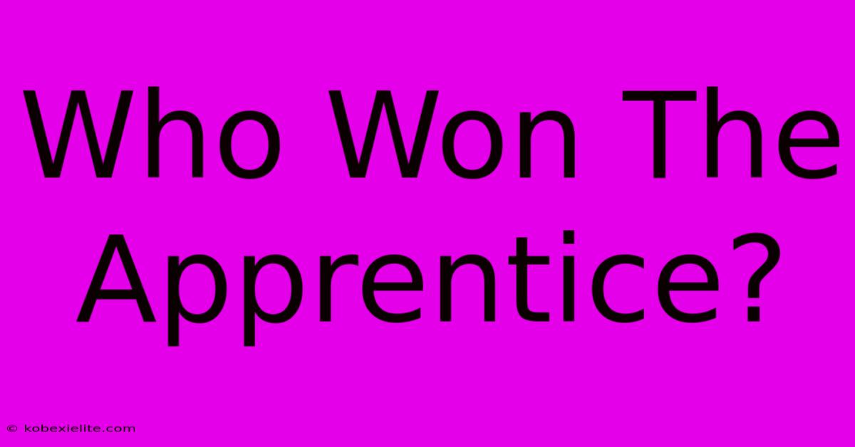 Who Won The Apprentice?