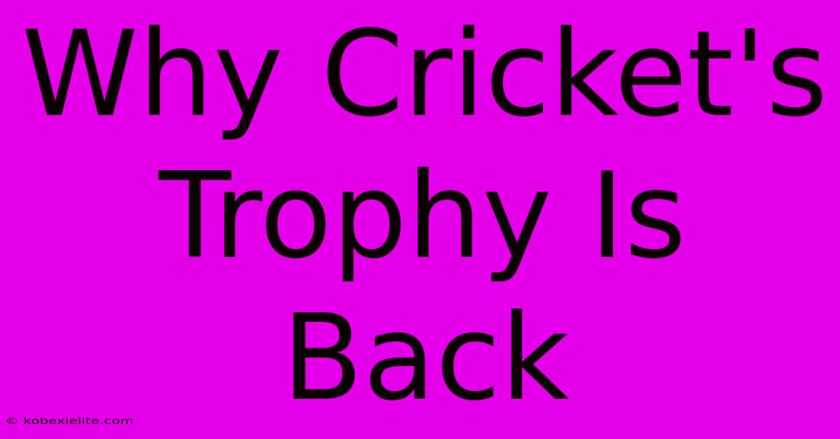 Why Cricket's Trophy Is Back