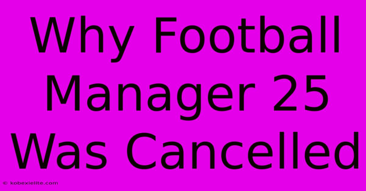 Why Football Manager 25 Was Cancelled